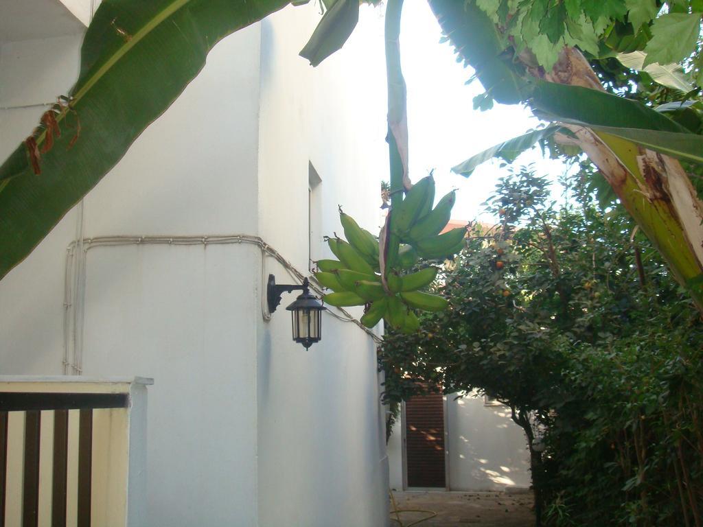 Karis Hotel Kos-Stadt Exterior foto